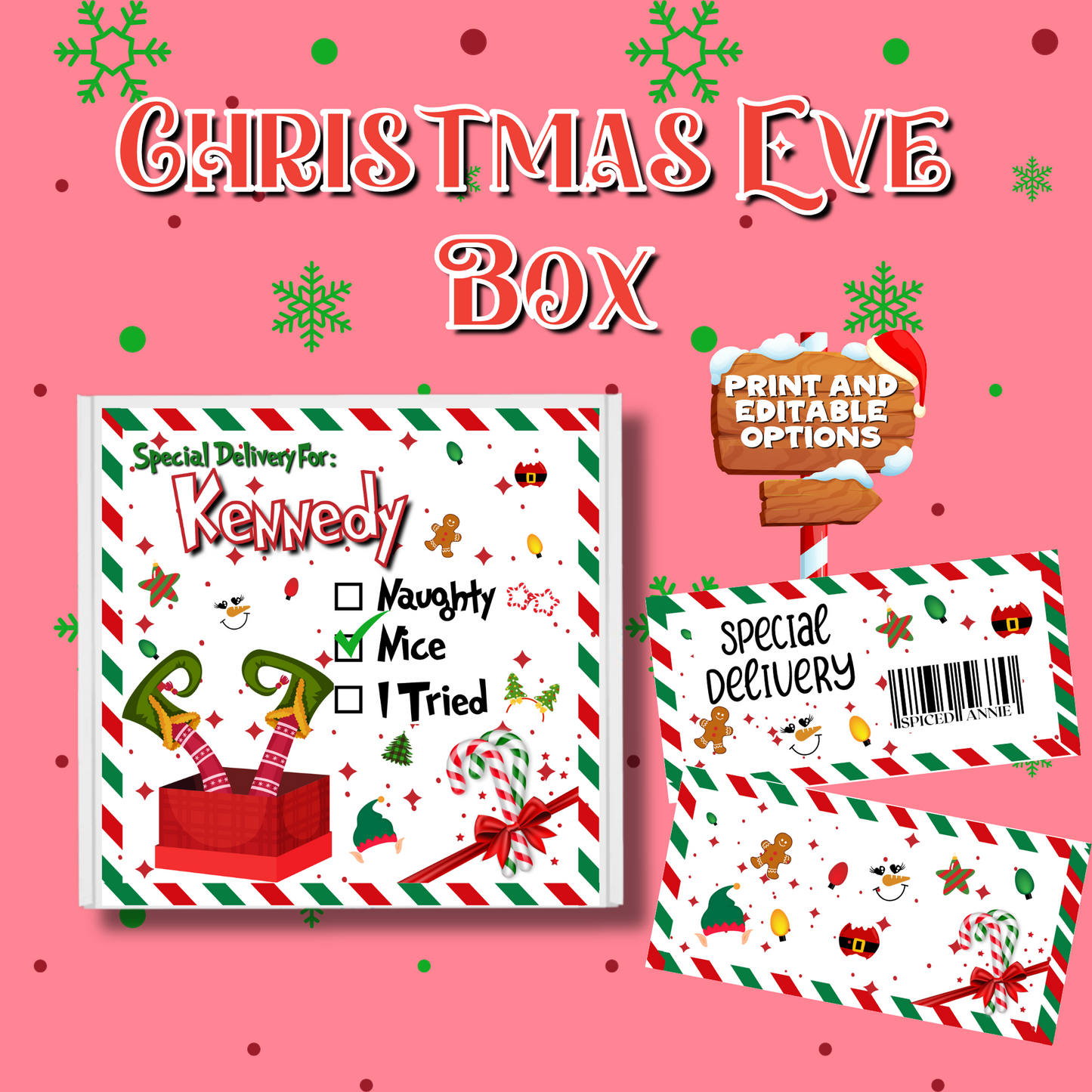 Special Delivery Christmas Box